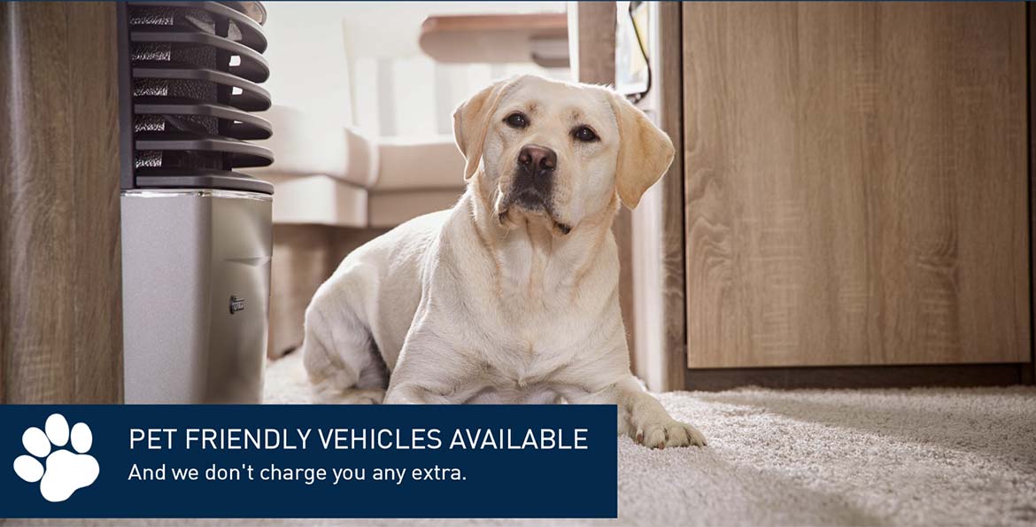 E S Hartley Limited% - Rental - Pet Friendly